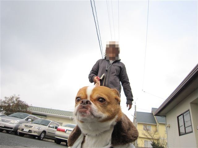 f:id:yasukazu01:20120127142607j:image f:id:yasukazu01:20120127142607j:image