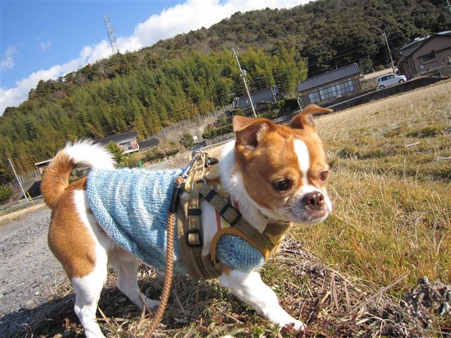 20120211100032