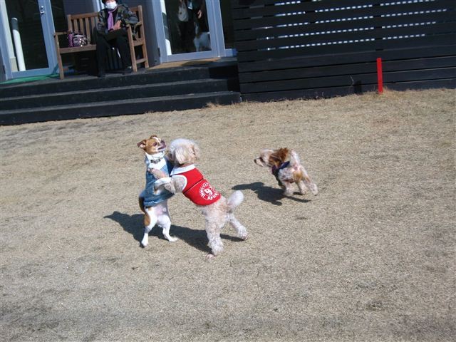 20120212140440