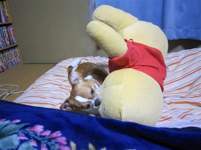 f:id:yasukazu01:20120215224014j:image