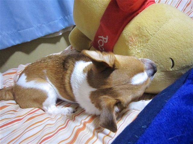 f:id:yasukazu01:20120215224036j:image
