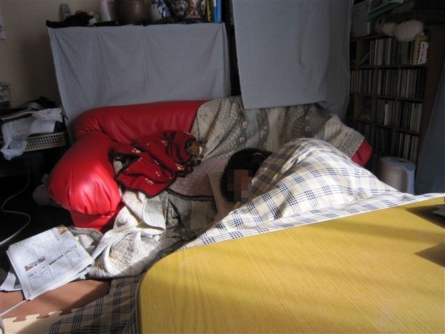 f:id:yasukazu01:20120217144040j:image