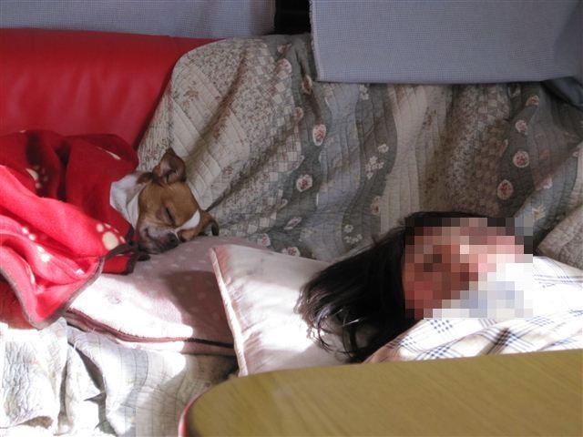f:id:yasukazu01:20120217151018j:image