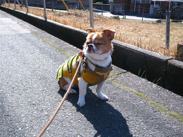f:id:yasukazu01:20120220121600j:image
