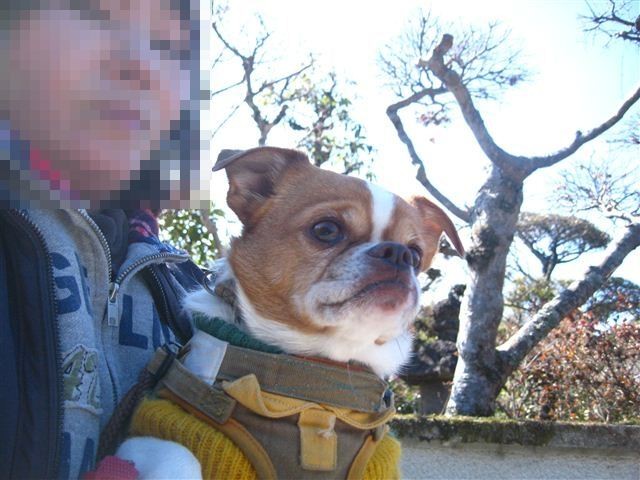 f:id:yasukazu01:20120220122754j:image