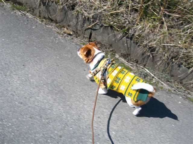 f:id:yasukazu01:20120220123226j:image