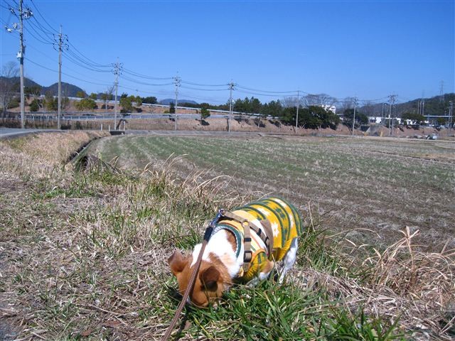 f:id:yasukazu01:20120220123407j:image