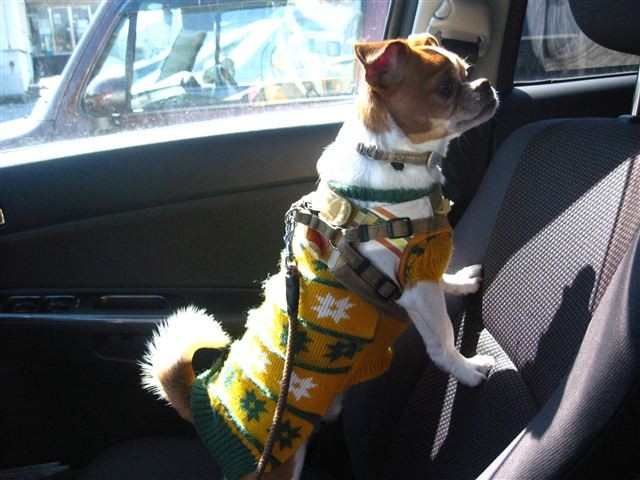 f:id:yasukazu01:20120220123848j:image