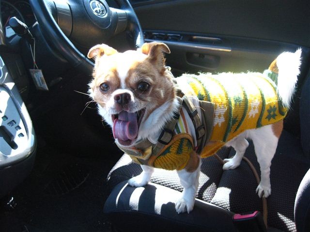 f:id:yasukazu01:20120220123855j:image
