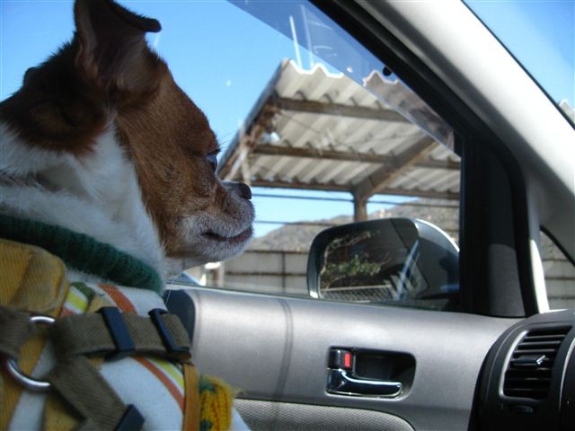 f:id:yasukazu01:20120220124216j:image