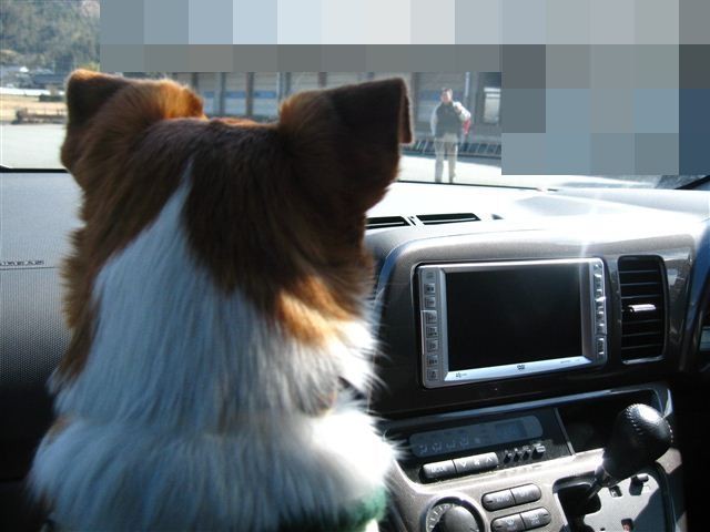 f:id:yasukazu01:20120220124609j:image