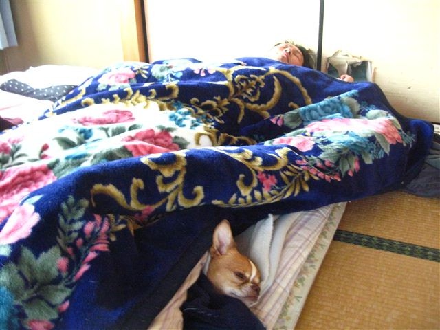 f:id:yasukazu01:20120220173931j:image
