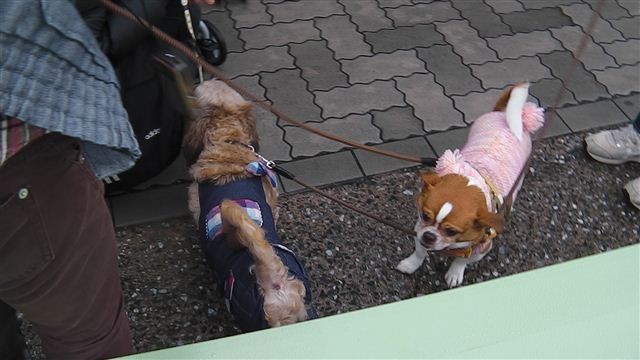 20120304134614