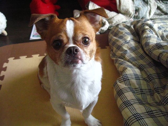 20120305123128