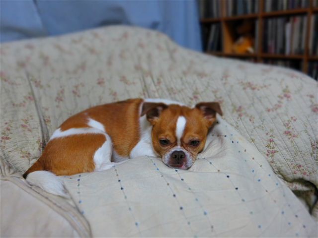 20120312185010