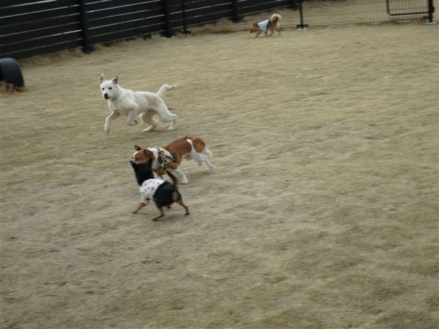 20120317150444