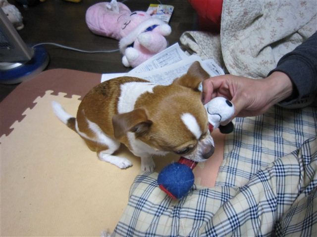 20120319201331