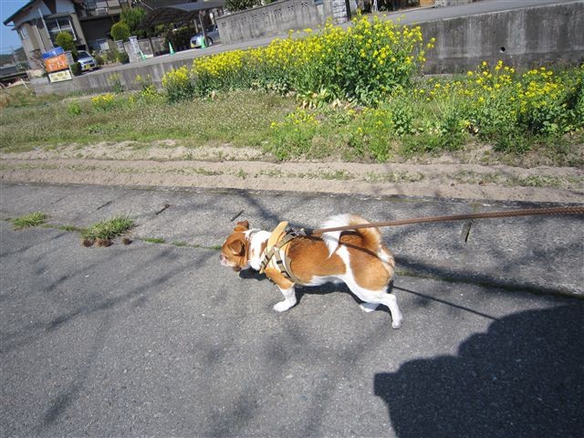 20120401142923