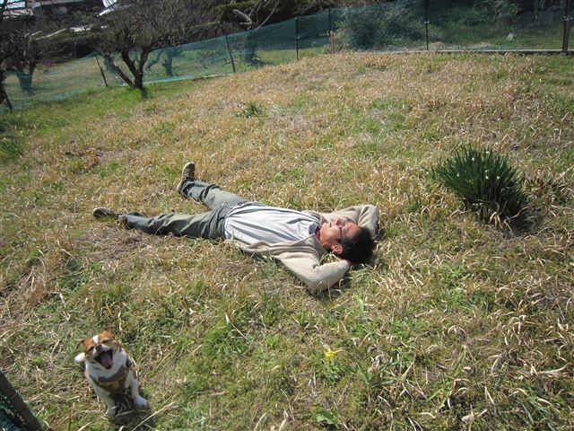 f:id:yasukazu01:20120408140051j:image f:id:yasukazu01:20120408140051j:image