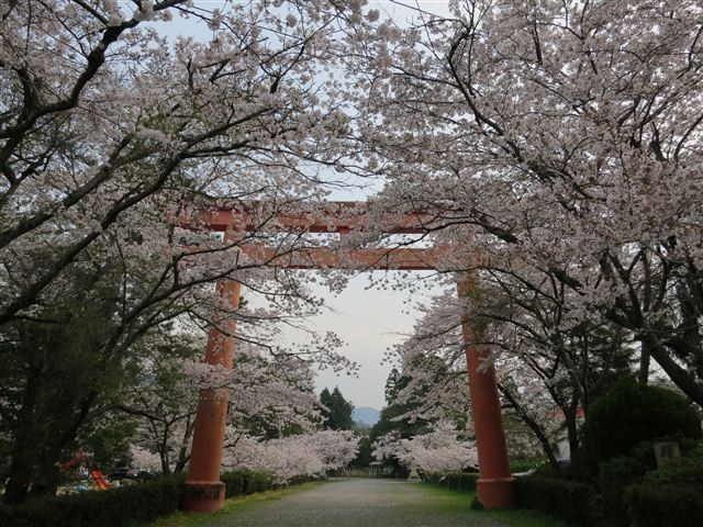 f:id:yasukazu01:20120410071249j:image f:id:yasukazu01:20120410071249j:image