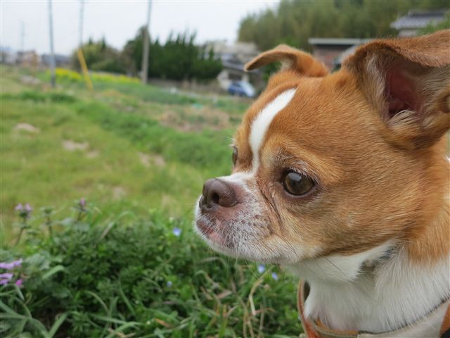 f:id:yasukazu01:20120410093020j:image f:id:yasukazu01:20120410093020j:image