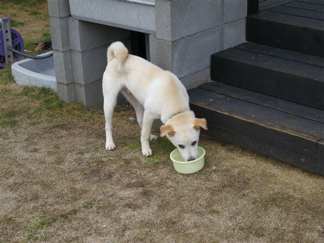 f:id:yasukazu01:20120420125502j:image