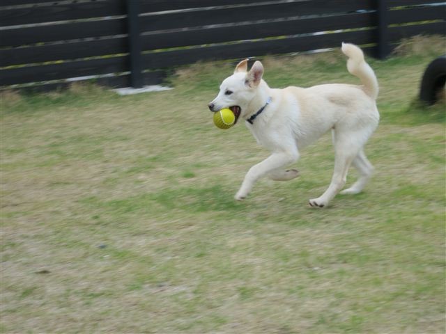 f:id:yasukazu01:20120420125602j:image