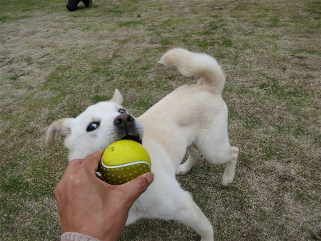 f:id:yasukazu01:20120420125624j:image