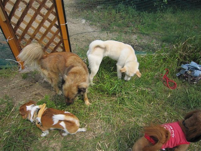 f:id:yasukazu01:20120513143432j:image f:id:yasukazu01:20120513143432j:image