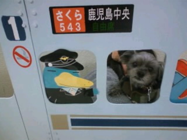 f:id:yasukazu01:20120514202353j:image f:id:yasukazu01:20120514202353j:image
