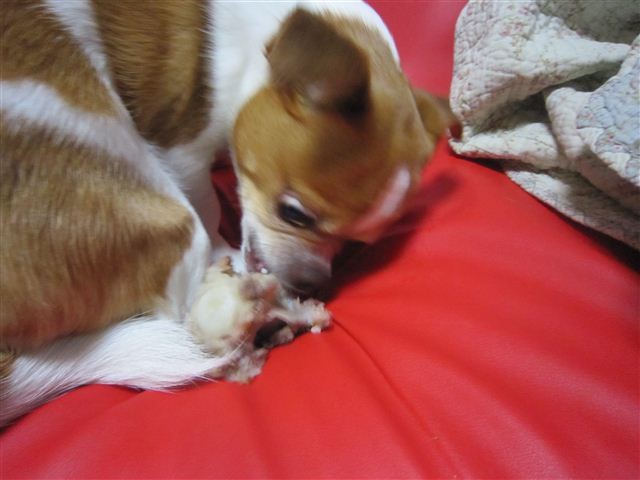 f:id:yasukazu01:20120520210950j:image