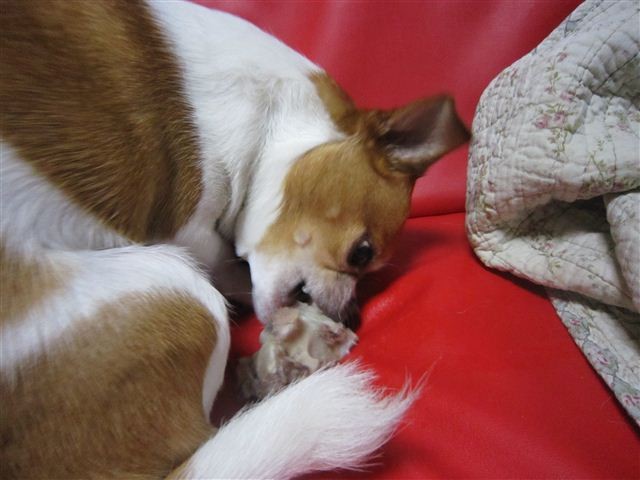 f:id:yasukazu01:20120520211007j:image