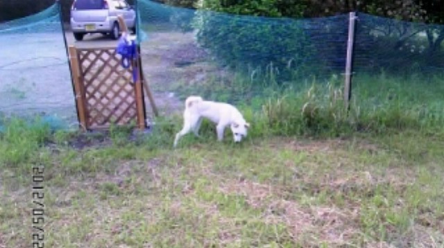 f:id:yasukazu01:20120522213530j:image