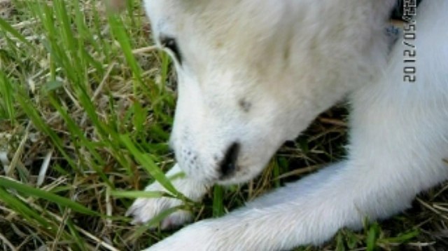 f:id:yasukazu01:20120522213541j:image
