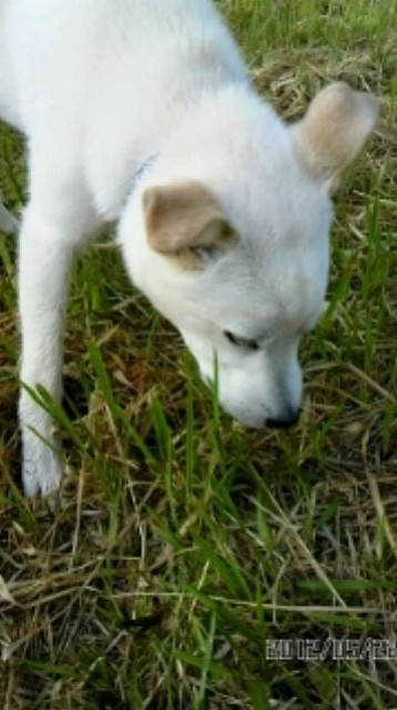 f:id:yasukazu01:20120522213557j:image