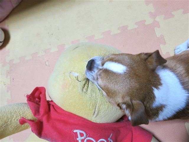 f:id:yasukazu01:20120526200829j:image