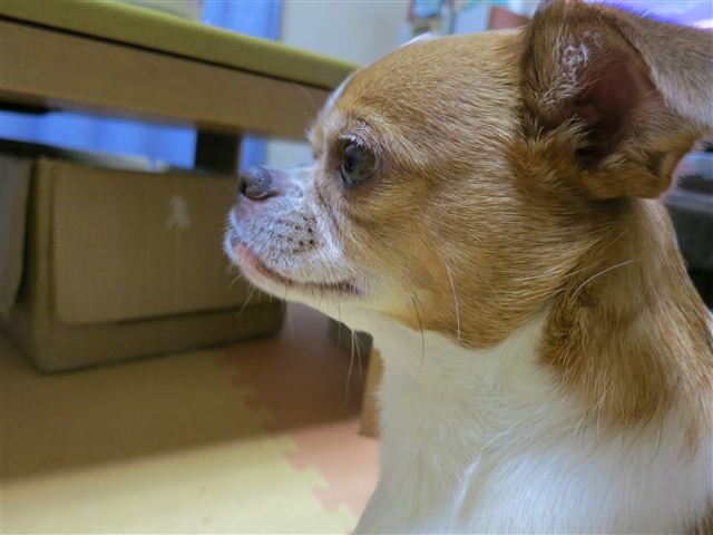 f:id:yasukazu01:20120526200854j:image