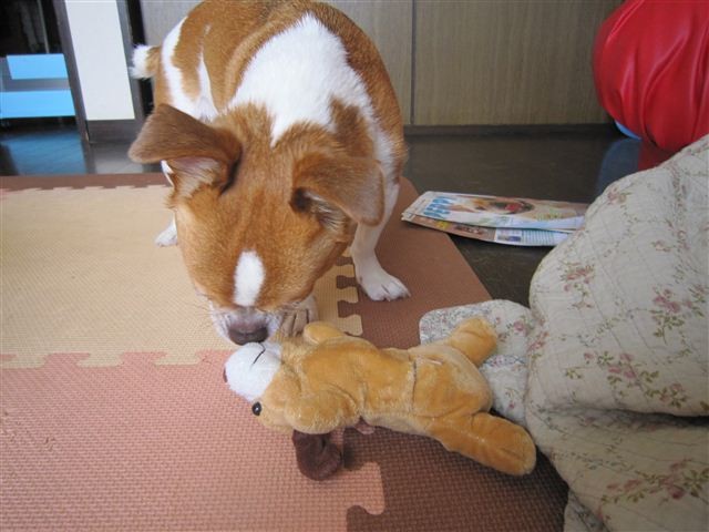 f:id:yasukazu01:20120529103238j:image