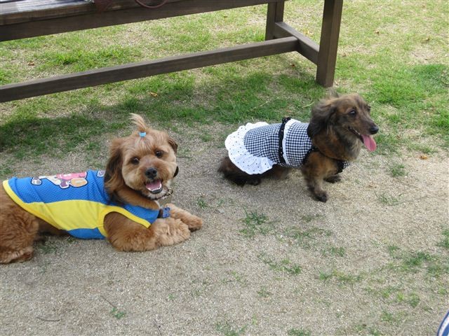 f:id:yasukazu01:20120606150501j:image