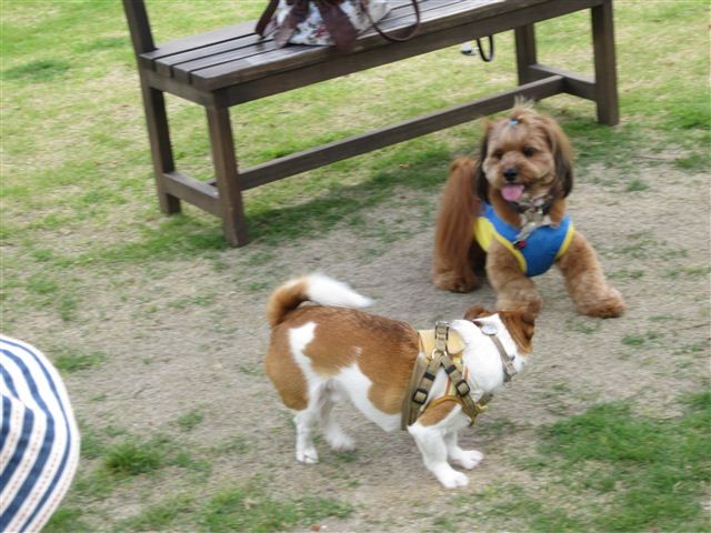 f:id:yasukazu01:20120606150909j:image