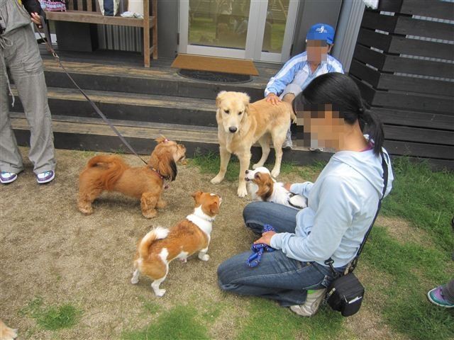 f:id:yasukazu01:20120610104028j:image