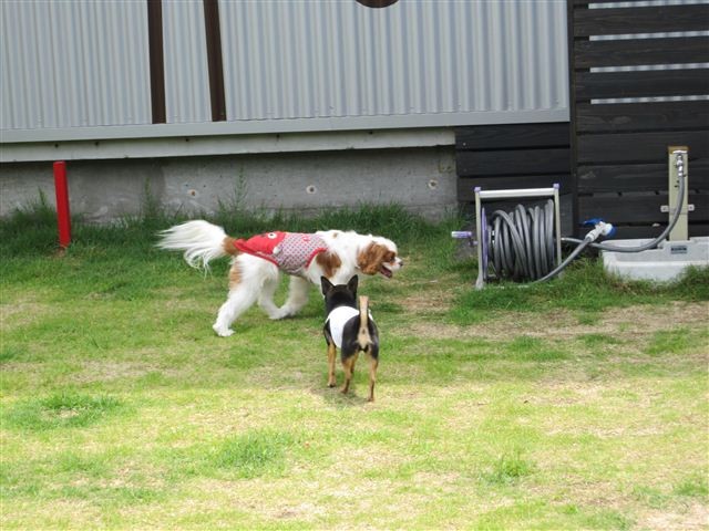 f:id:yasukazu01:20120610105929j:image