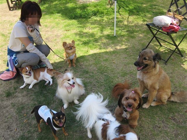 f:id:yasukazu01:20120610110657j:image