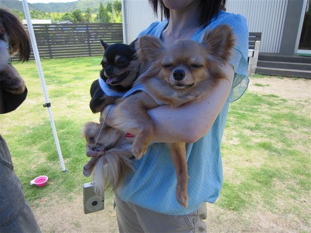 f:id:yasukazu01:20120610123541j:image