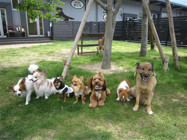 f:id:yasukazu01:20120610124106j:image