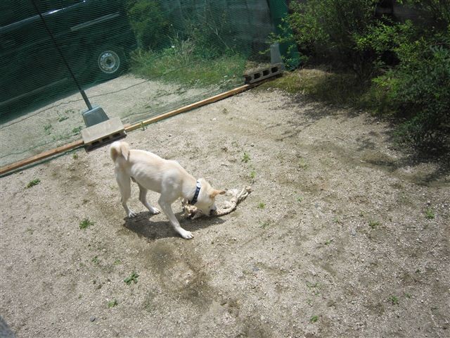 f:id:yasukazu01:20120620121223j:image