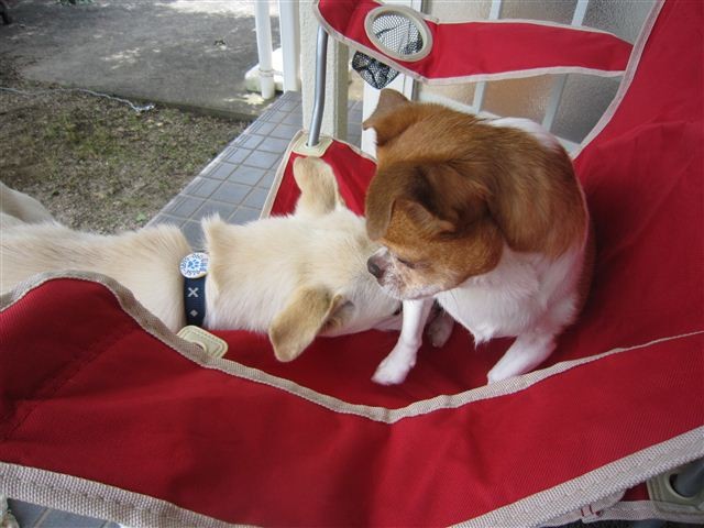 f:id:yasukazu01:20120620121341j:image