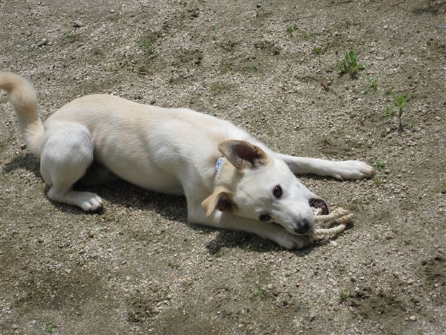 f:id:yasukazu01:20120620121547j:image