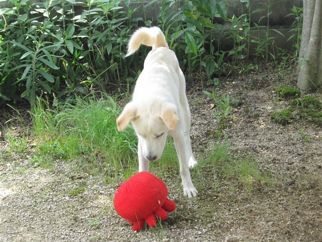 20120620122739