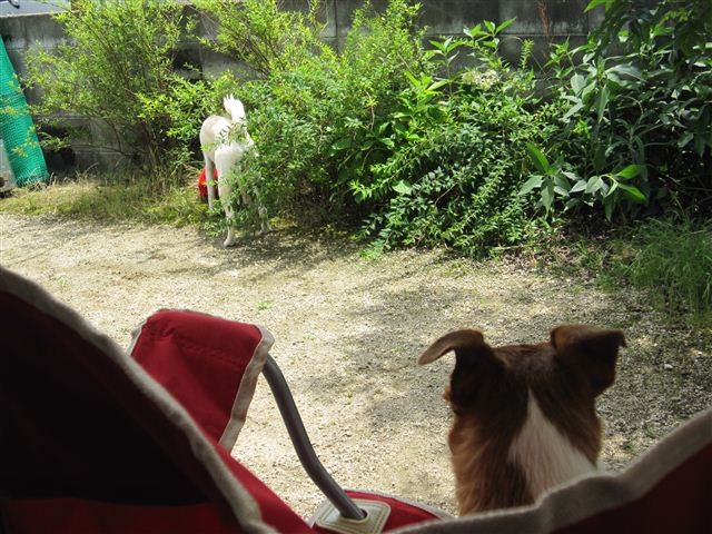 f:id:yasukazu01:20120620122808j:image